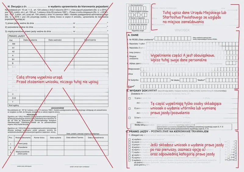Oryginał czy wtórnik prawa jazdy? Różnice, koszty i ważność dokumentu