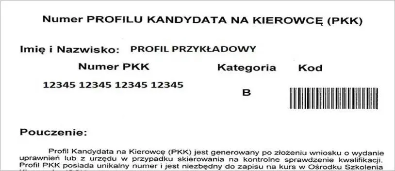 Profil kandydata na kierowcę: załóż bez błędów i opóźnień